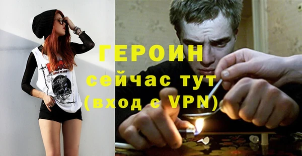 сатива Горняк