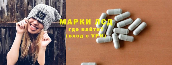 прущие грибы Горно-Алтайск