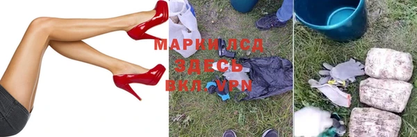 ПСИЛОЦИБИНОВЫЕ ГРИБЫ Горнозаводск