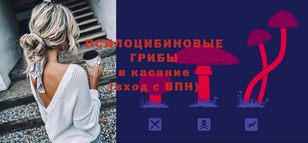 прущие грибы Горно-Алтайск