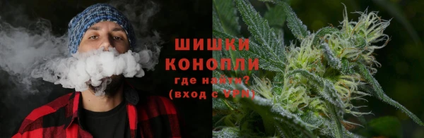 прущие грибы Горно-Алтайск