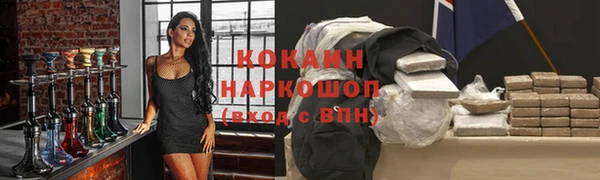 прущие грибы Горно-Алтайск