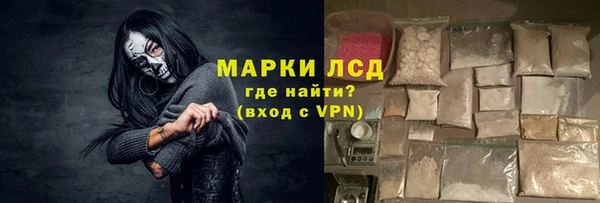 прущие грибы Горно-Алтайск