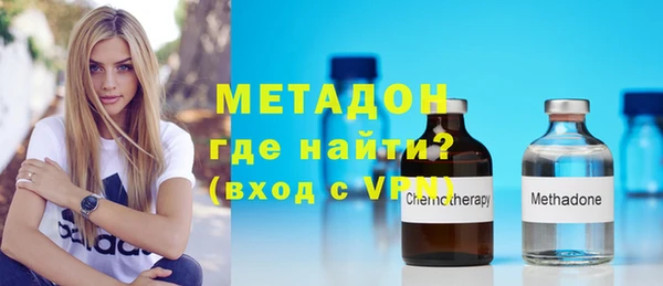 прущие грибы Горно-Алтайск