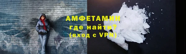 прущие грибы Горно-Алтайск