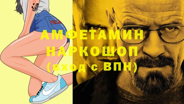 сатива Горняк