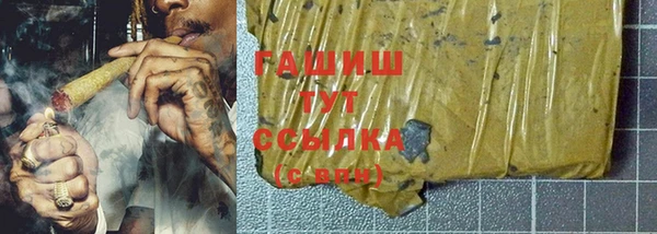 прущие грибы Горно-Алтайск