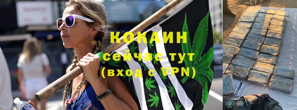 сатива Горняк