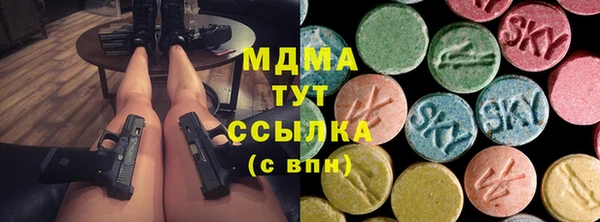 PSILOCYBIN Волосово