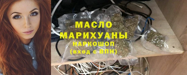 прущие грибы Горно-Алтайск