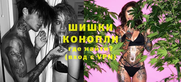 сатива Горняк